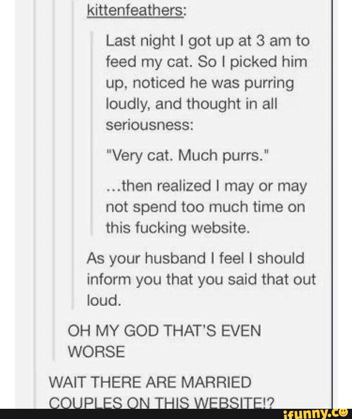 kittenfeathers:
Last night I got up at 3 am to
feed my cat. 80 I picked him
up, noticed he was purring
loudly, and thought in all
seriousness:
"Very cat. Much purrs,"
...then realized I may or may
not spend too much time on
this fucking website.
As your husband I feel I should
inform you that you said that out
loud.
OH MY GOD THAT‘S EVEN
WORSE
WAIT THERE ARE MARRIED
COUPLES ON THIS WEBSITE?