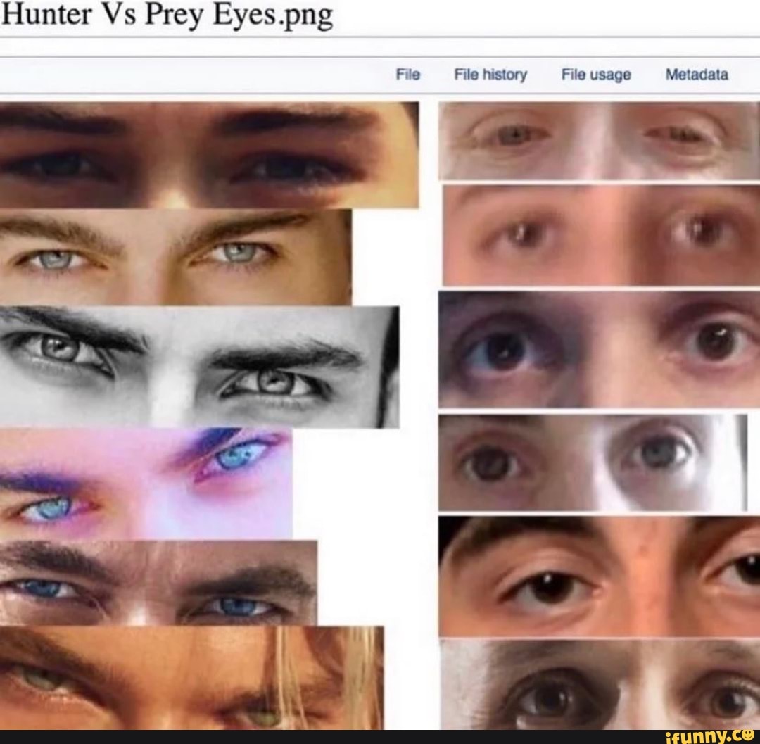 prey vs predator eyes