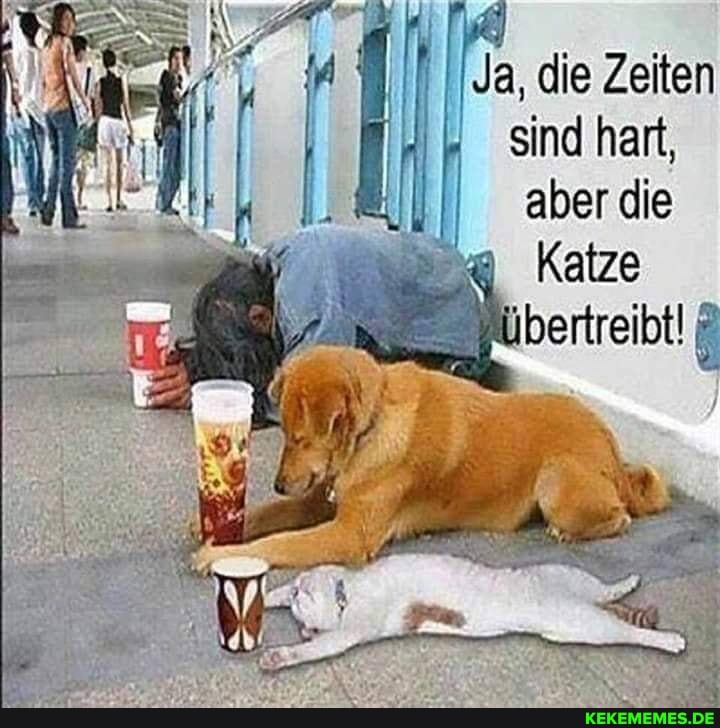 Ja, die Zeiten
sind hart,
aber die