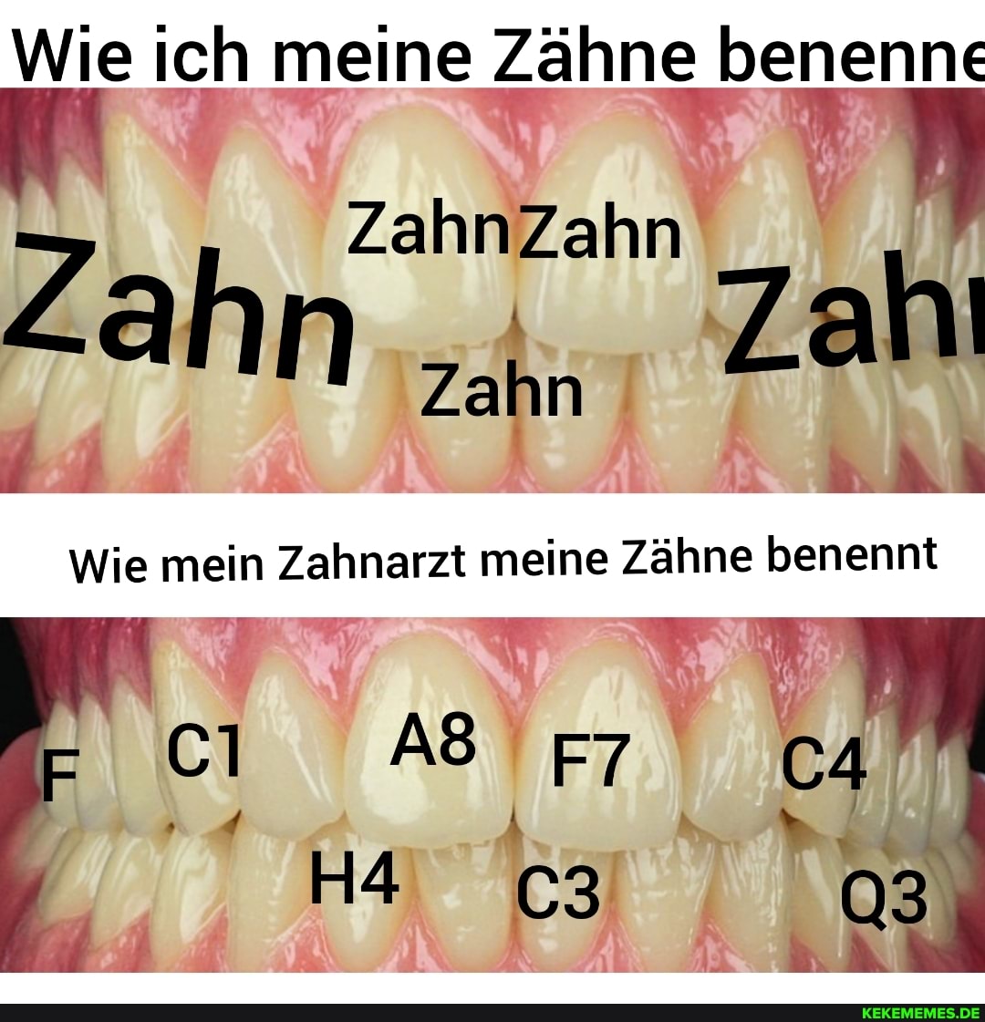 Wie ich meine Zähne benenne
Zahn Zahl
Wie mein Zahnarzt meine Zähne benennt
Fr