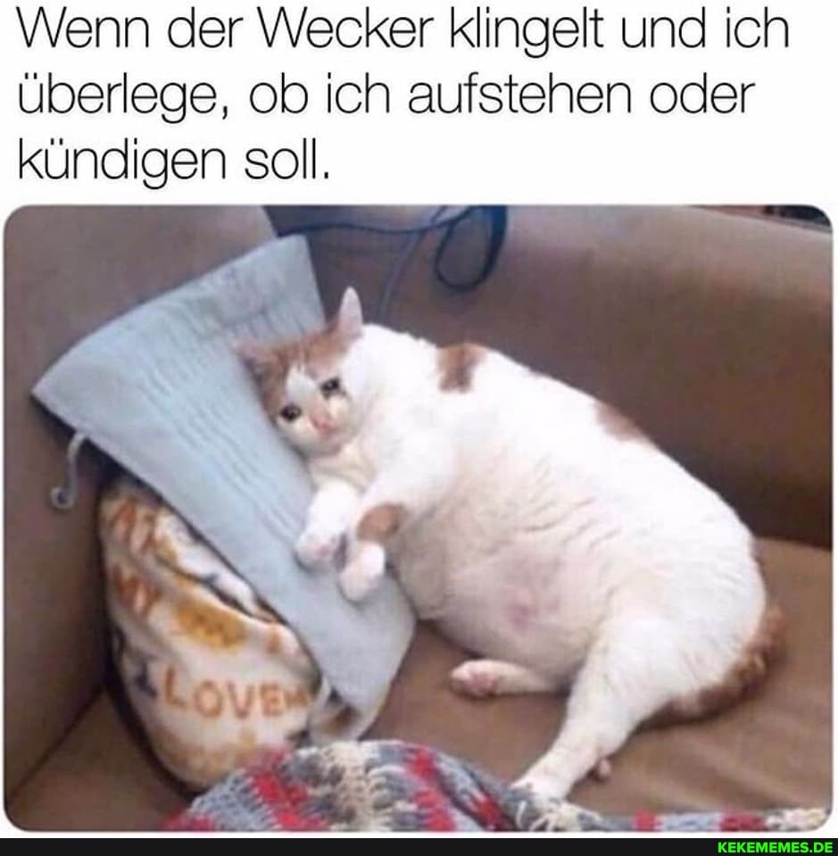 Wenn der Wecker klingelt und ich überlege, ob ich aufstehen oder kündigen soll.