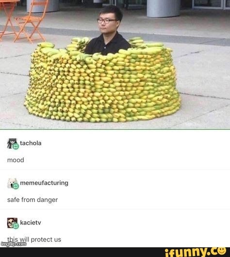 mood
safe from danger
this will protect us