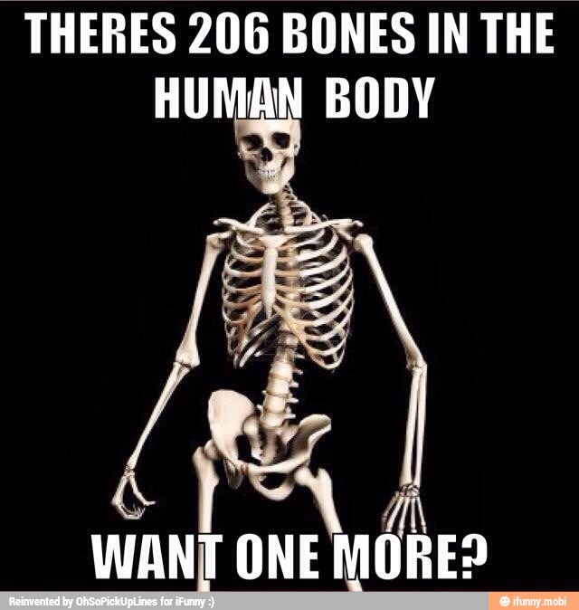 "THERES 206 BONES IN THE
HUMAN BODY
WANT ONE MORE?