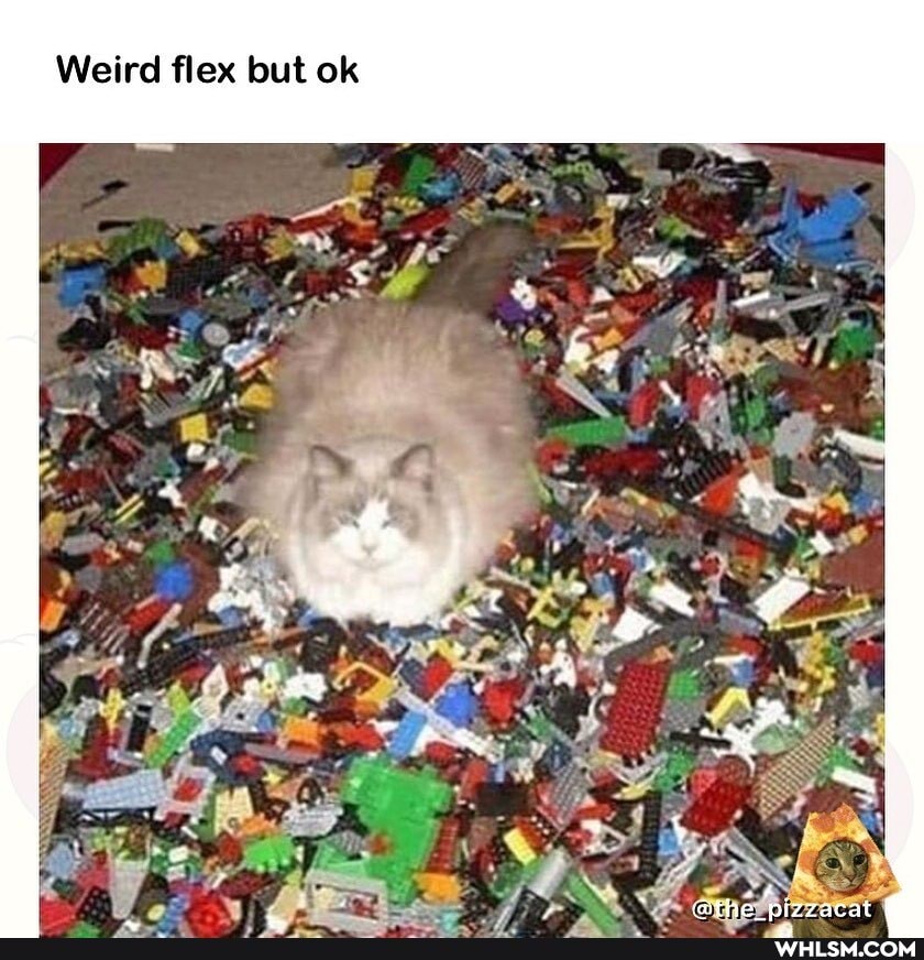 Weird flex but ok