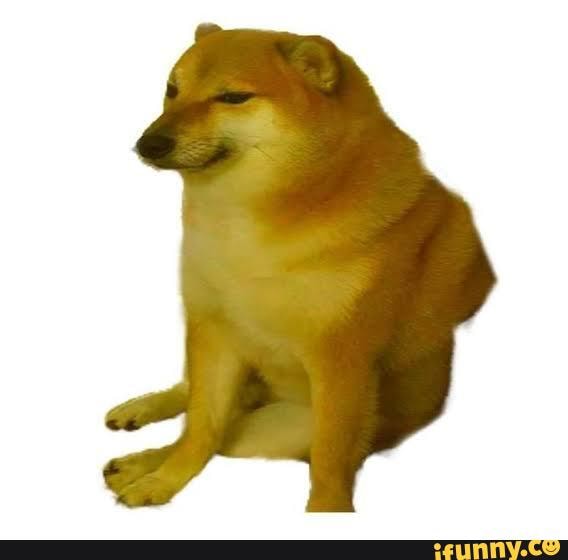 Doge Bot on X: #memes #funny #doge #postironic #postironicdoge #ifunny #XD  #lol #dogememe #dogecoin #dogecapital #DogEatingFestival #dogebtc #dogeusd   / X