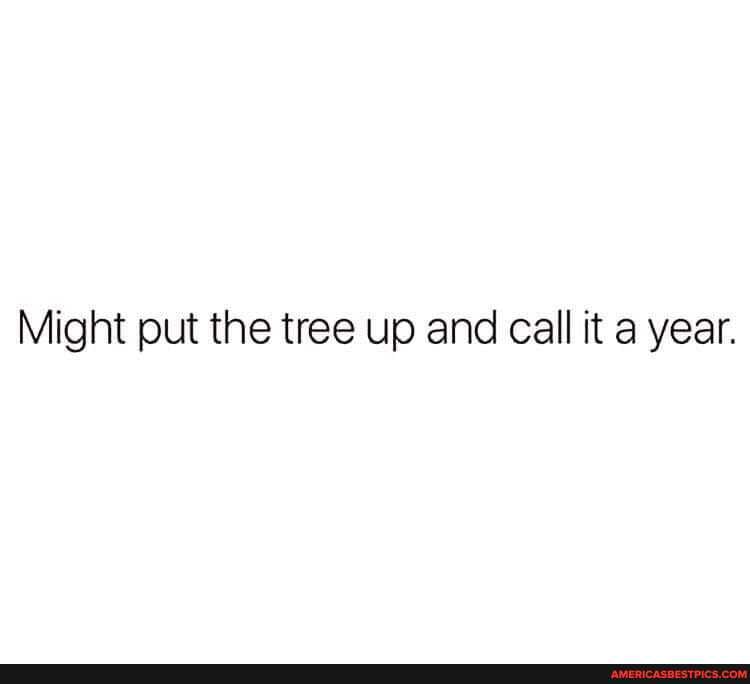 Might put the tree up and call it a year.