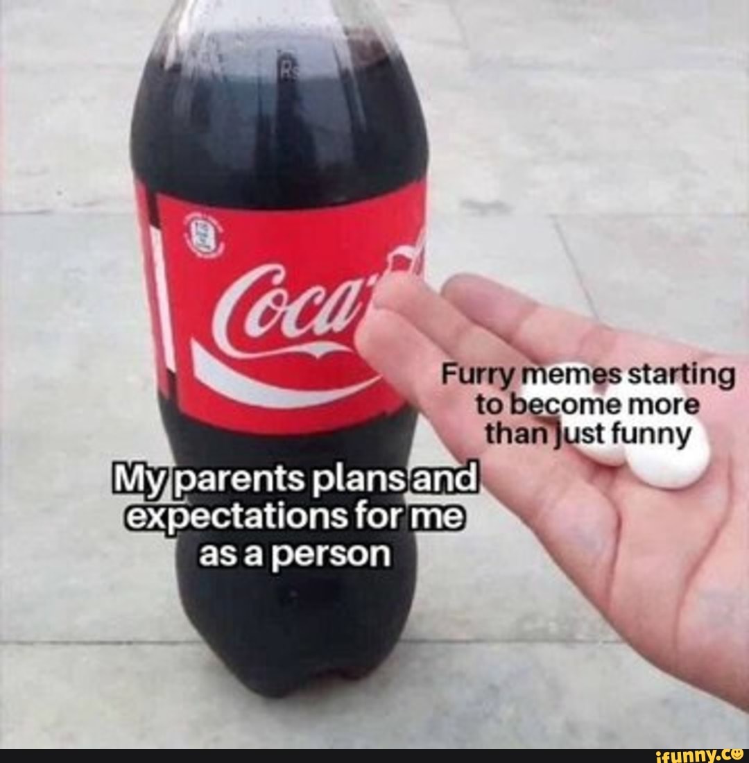Furry memes starting to become more than just funny My parents plans and  expectations for me as a person 