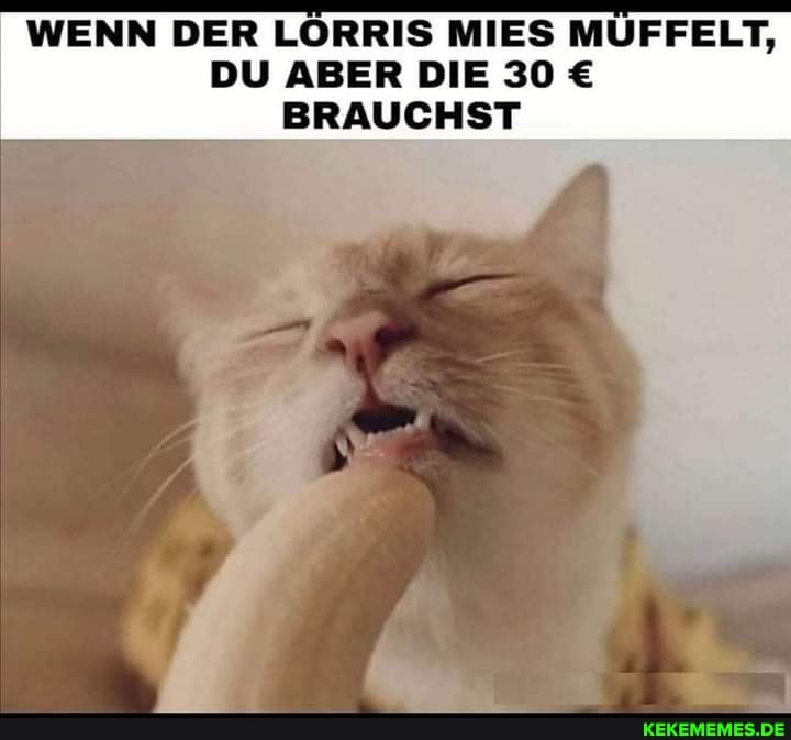 WENN DER LÖRRIS MIES MÜFFELT,
DU ABER DIE 30
BRAUCHST
