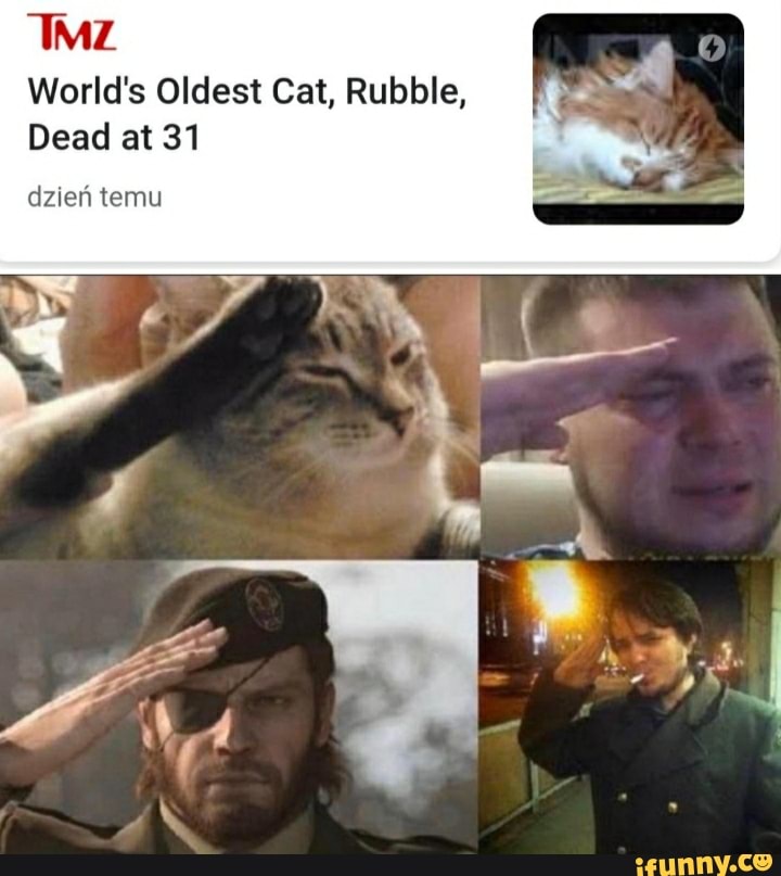 ETA
World's Oldest Cat, Rubble,
Dead at 31
dzien temu