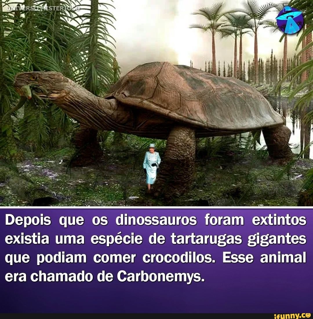 Depois que os dinossauros foram extintos existia uma espécie de tartarugas gigantes que podiam comer crocodilos. Esse animal era chamado de Carbonemys.