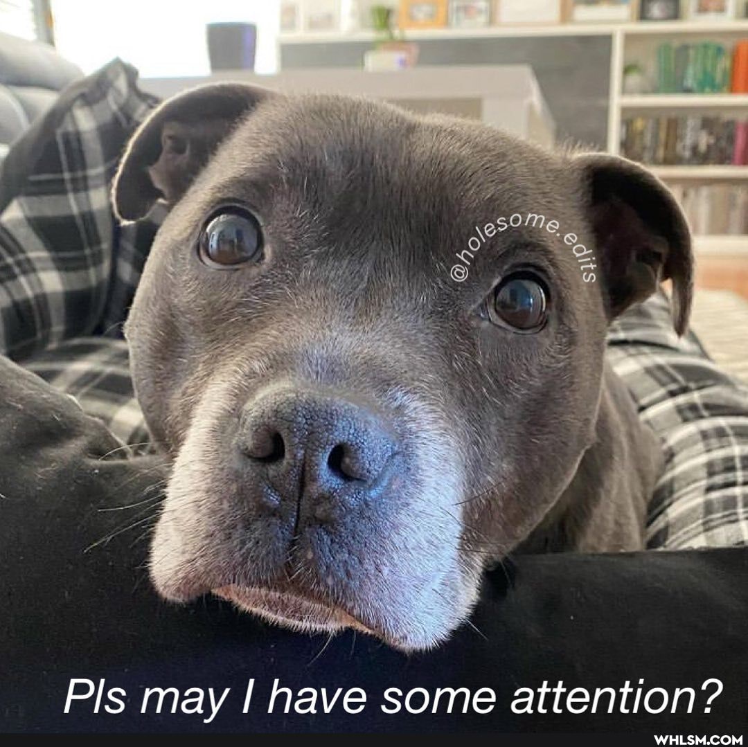 Pis may I have some attention?