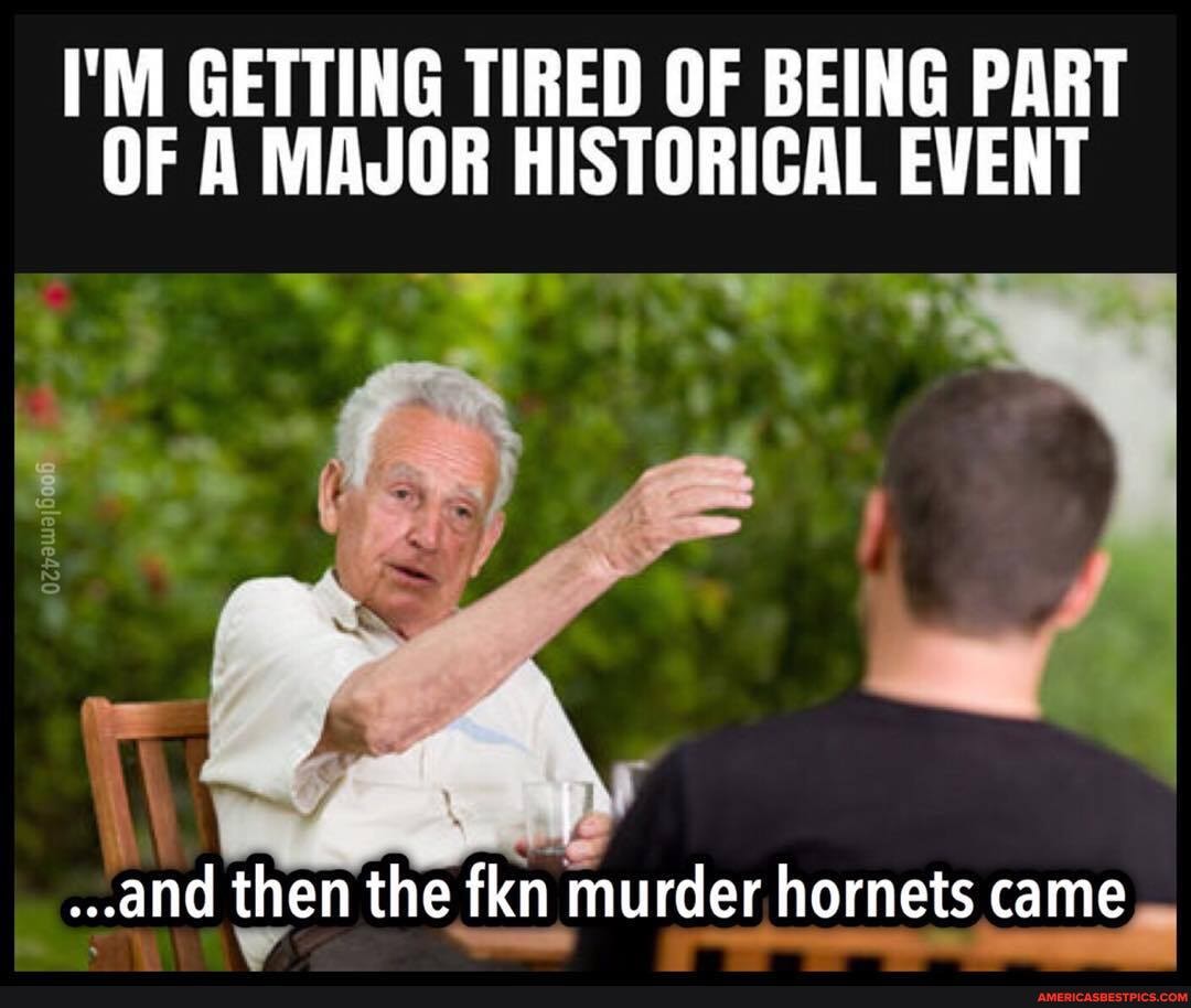 I'M GETTING TIRED OF BEING PART OF A MAJOR HISTORICAL EVENT
and then the fkn murder hornets came