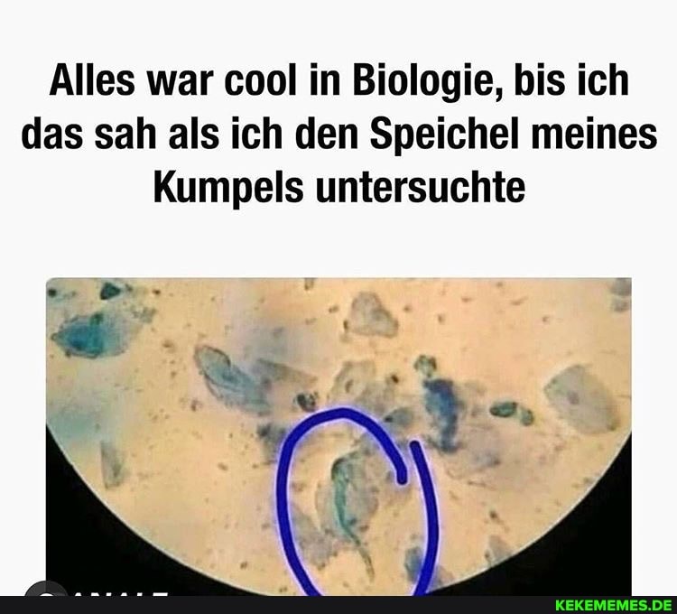 Alles war cool in Biologie, bis ich das sah als ich den Speichel meines
Kumpels untersuchte