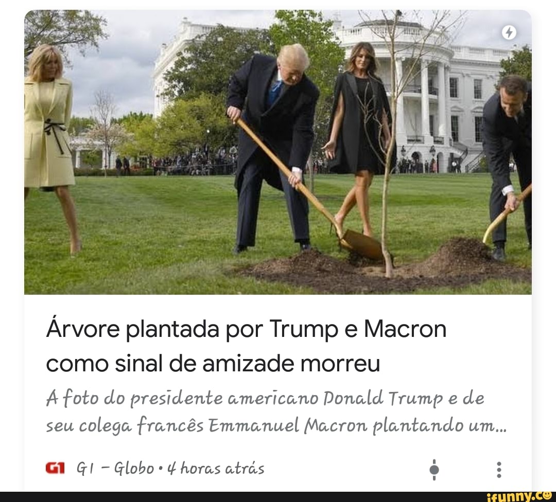 Árvore plantada por Trump e Macron
como sinal de amizade morreu
A foto do presidente americano Donald Trump e
de
seu
colega francês Emmanuel Macron plantando um...