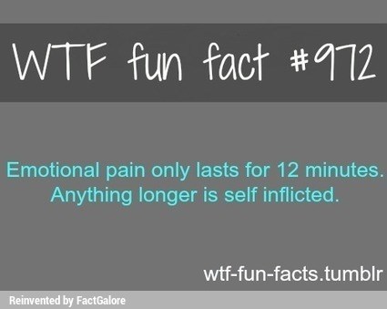 Wtf Fun Fact 7712 Emotional Pain Only Lasts For 12 Minutes Anything Longer Is Self Inflicted Wtf Fun Facts Tumblr