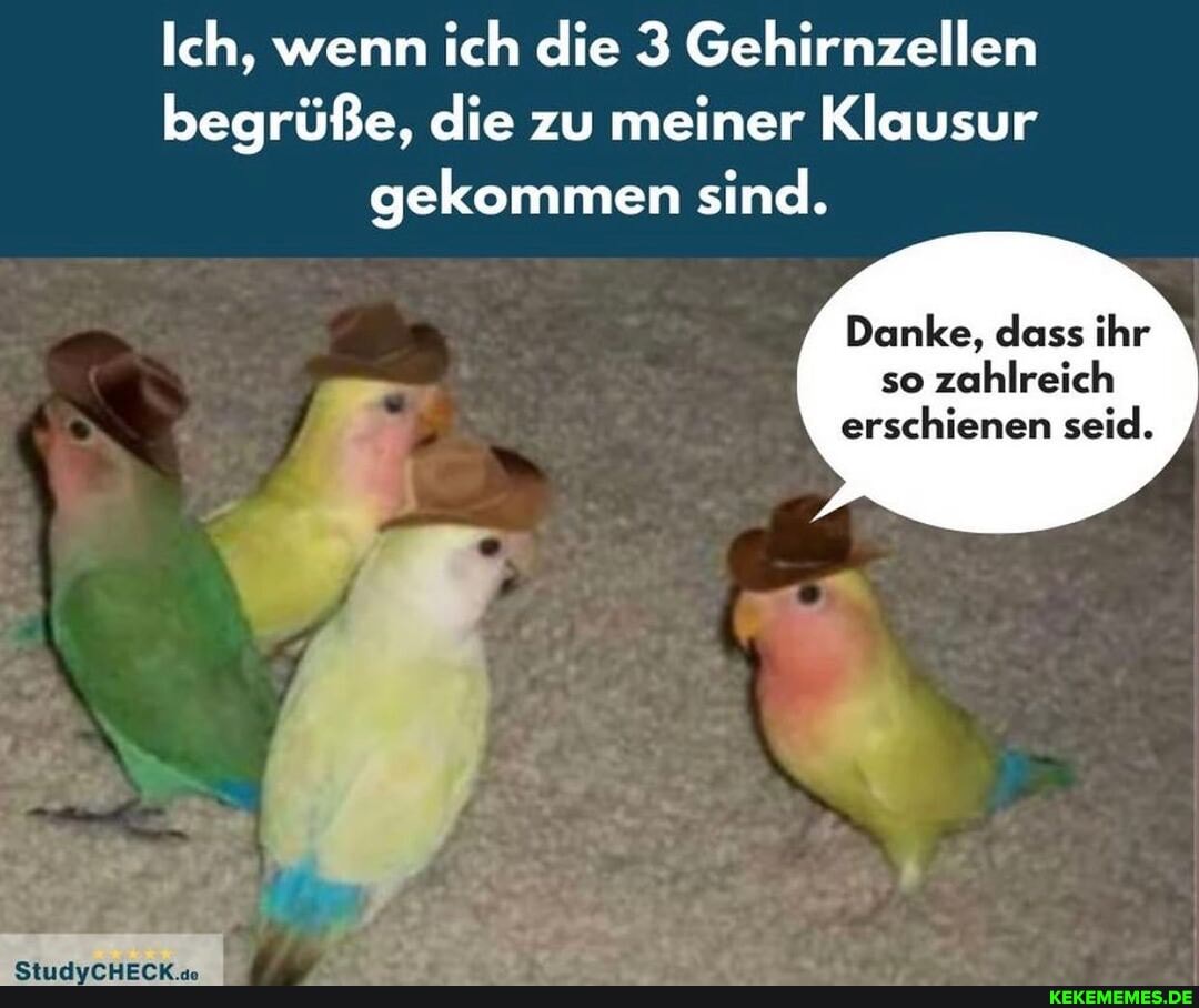 Ich, wenn ich die 3 Gehirnzellen begrüße, die zu meiner Klausur gekommen sind.
Danke, dass ihr so zahlreich erschienen seid.