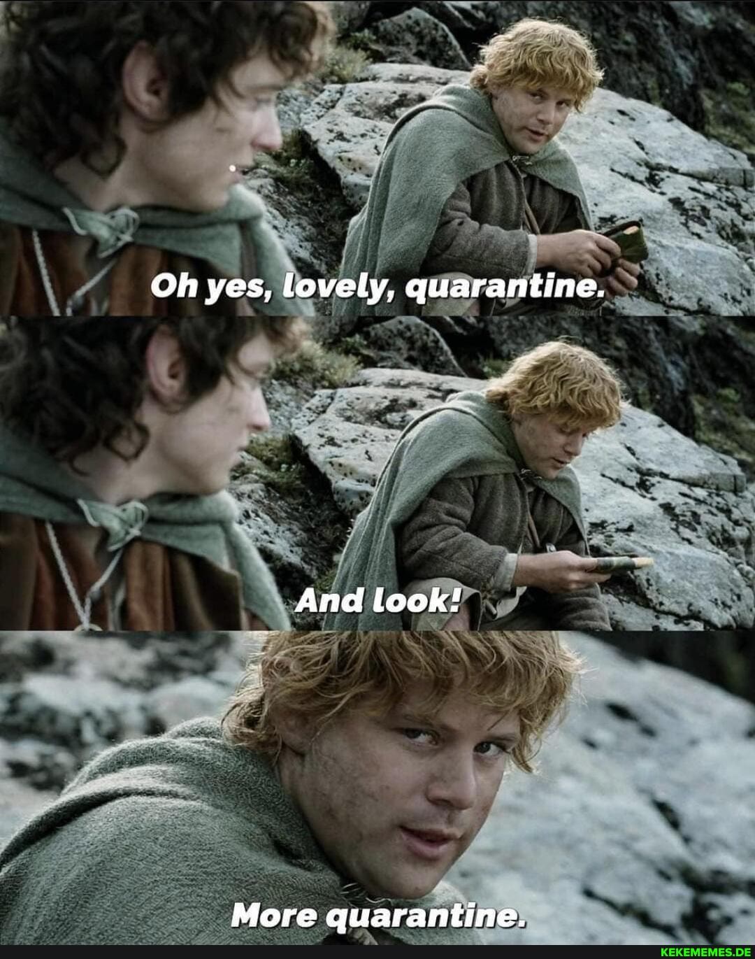 Oh yes, lovely, quarantine.
And look!
More quarantine.