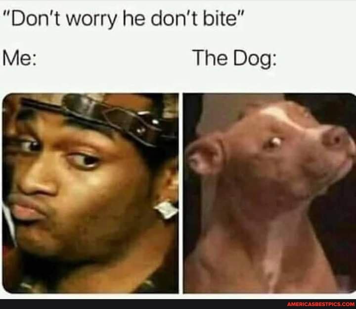 "Don't worry he don't bite"
Me: The Dog: