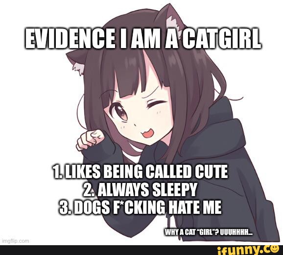 cute anime catgirls meme - Imgflip