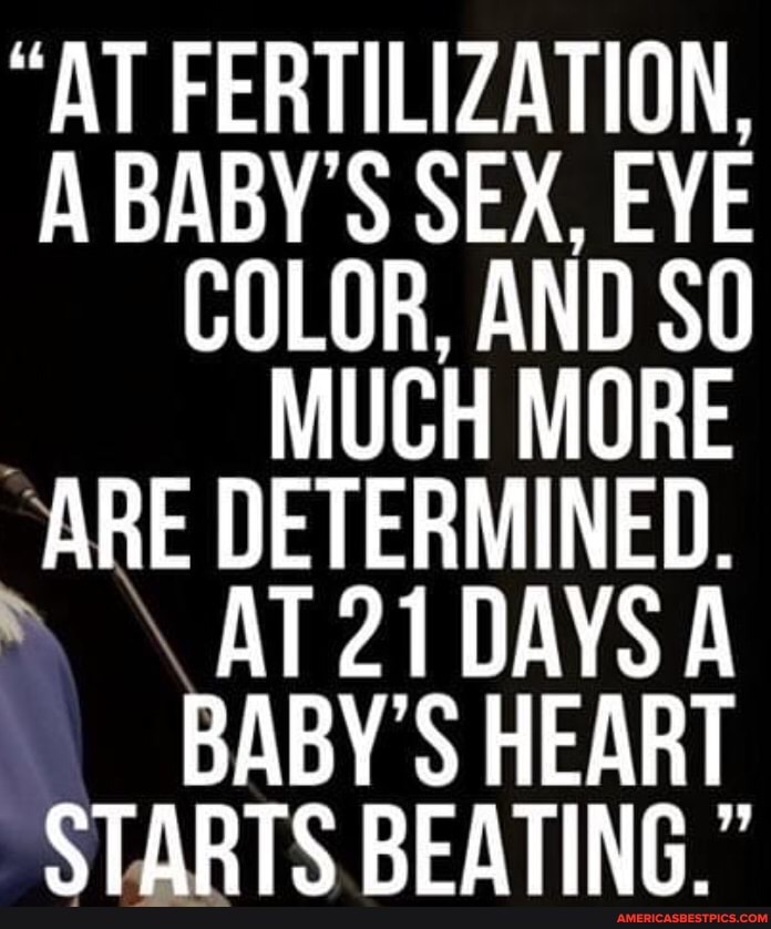 "AT FERTILIZATION,
A BABY'S SEX, EYE COLOR, AND SO MUCH MORE
ARE DETERMINED.
AT 21DAYSA BABY'S HEART STARTS BEATING."