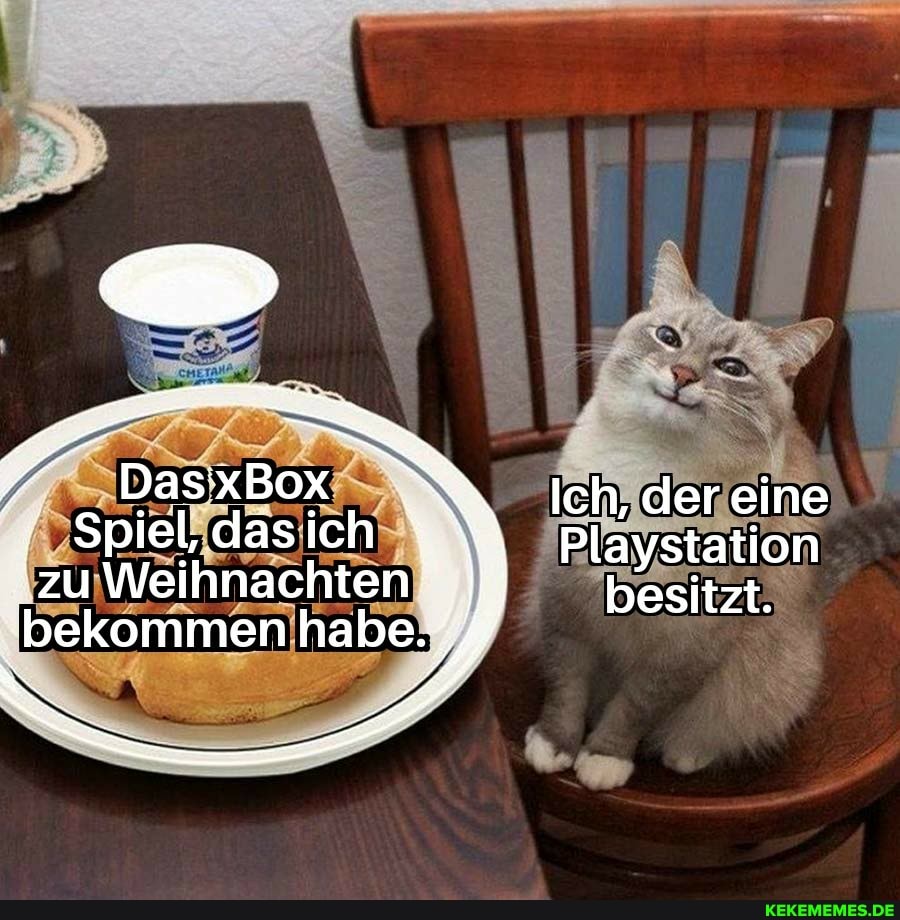 _DasxBox Ich, der eine
; Spiel, dasich Playstation
'zu Weihnachten besitzt.
bekommen habe.