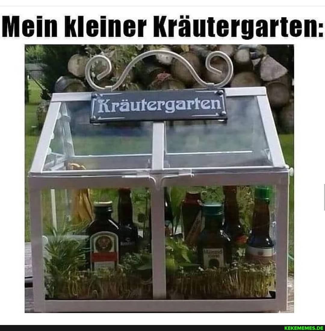 Mein kleiner Kräutergarten: