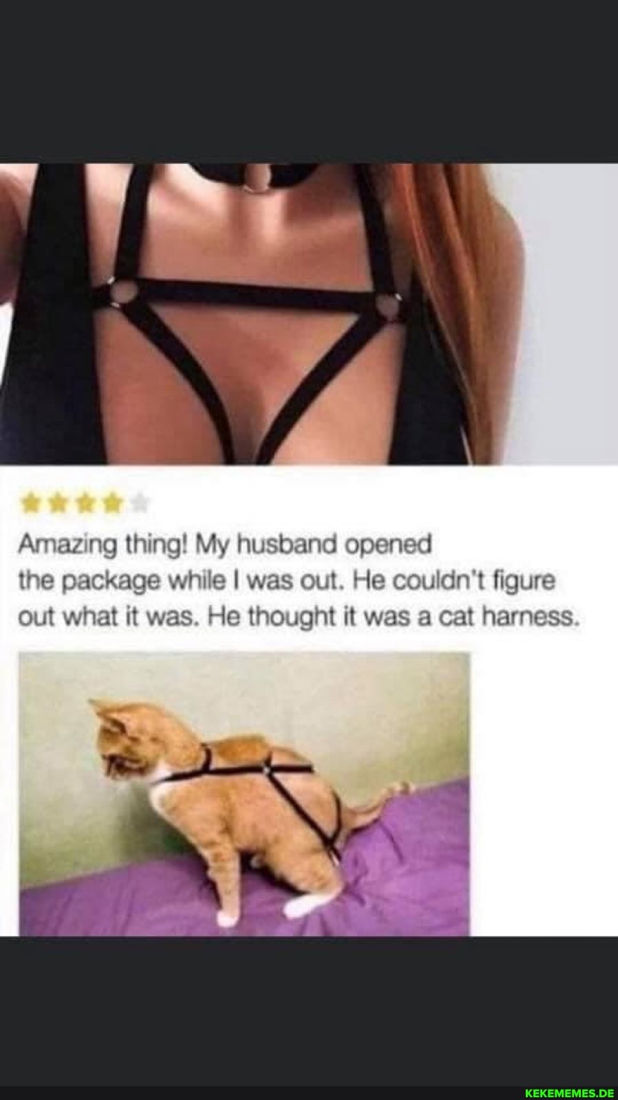 Amazing thing! My husband opened
the package while I was out. He couldn't figure
Out what it was. He thought it was a cat harness