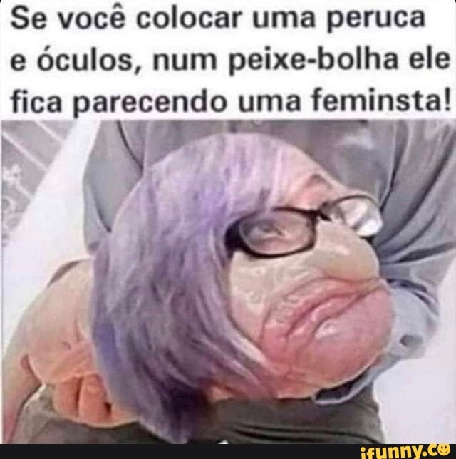 Se você colocar uma peruca e óculos, num peixe-bolha ele di ca parecendo uma feminsta!