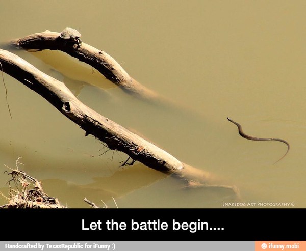 Let the battle begin. - Let the battle begin....