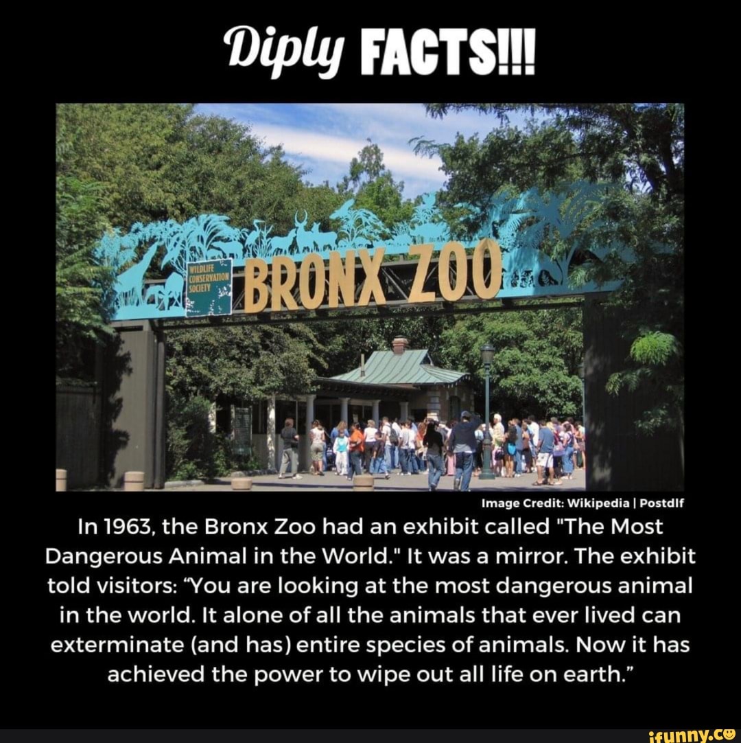 Diply FACTS!!! Image Credit: Wikipedia I Postdif In 1963, the Bronx Zoo had  an exhibit