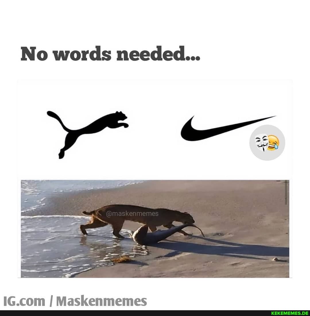 No words needed...
IG com Macskenmemes