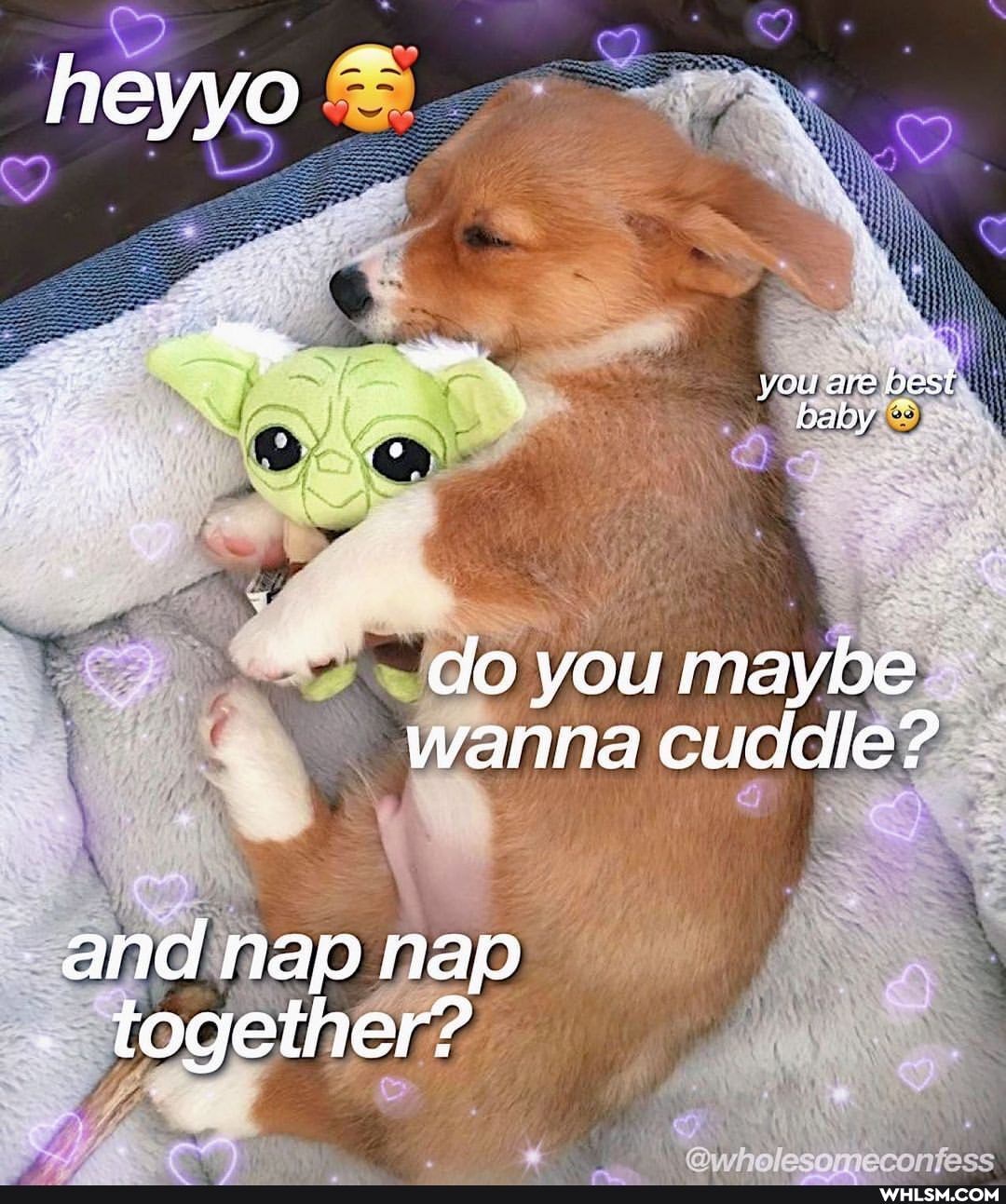you are best baby
do you maybe wanna cuddle?
and nap nap together?