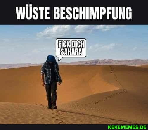 WÜSTE BESCHIMPFUNG
SAhARA
