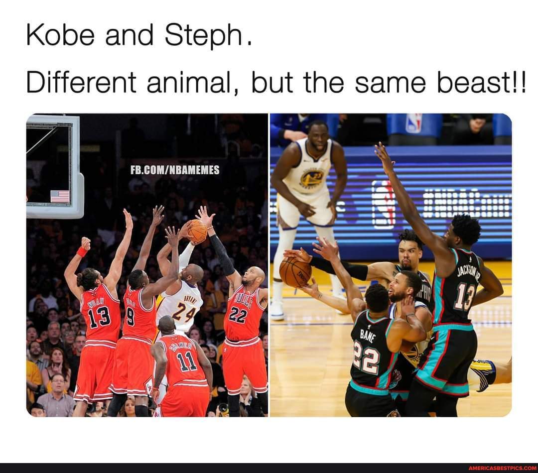 Kobe and Steph. Different animal, but the same beast!! - America’s best