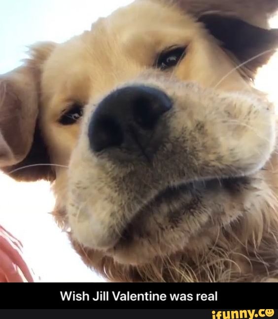 ON
Wish Jill Valentine was real - Wish Jill Valentine was real