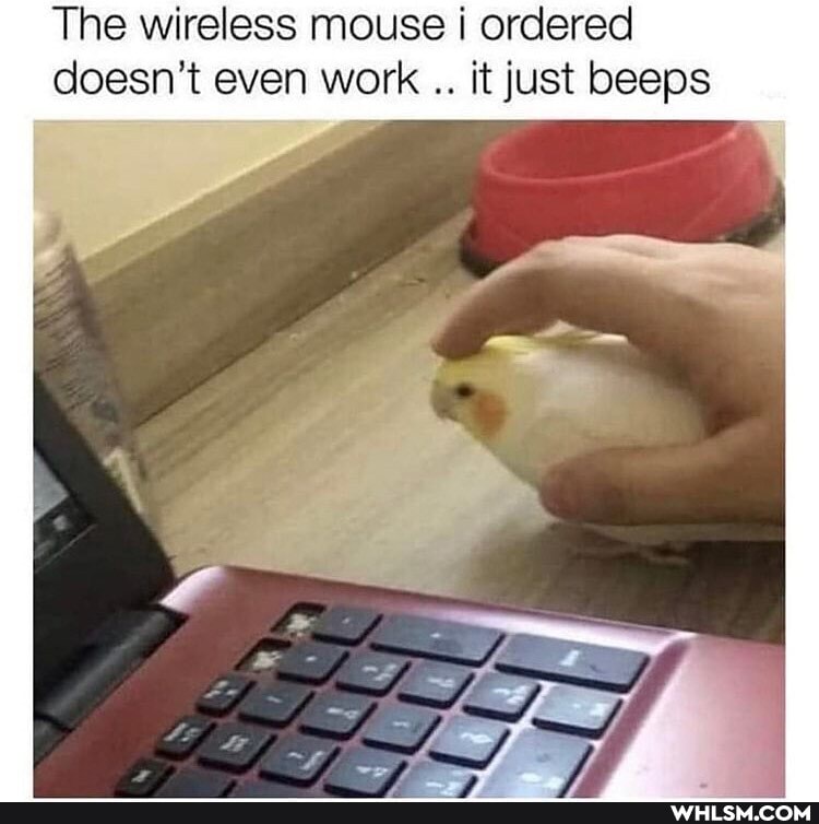 The wireless mouse i ordered doesn't even work it just beeps