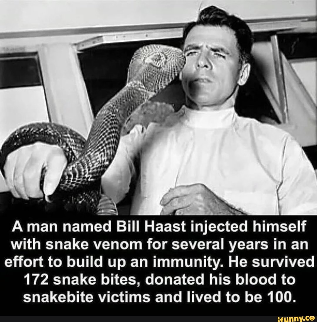 I
A man named Bill Haast injected himself
with snake venom for several years in an
effort to build up an immunity. He survived
172 snake bites, donated his blood to
snakebite victims and lived to be 100.