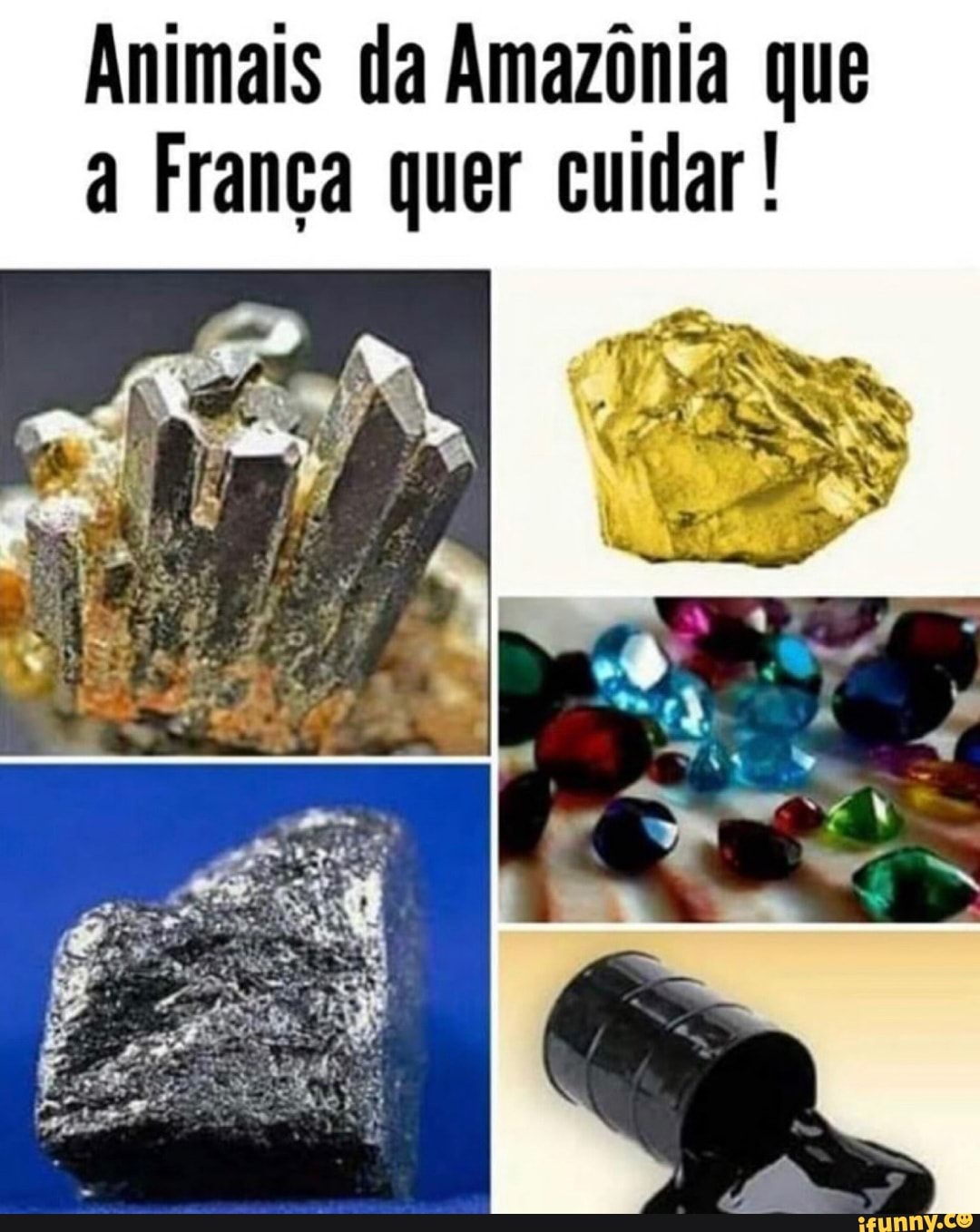 Animais da Amazônia que a França quer cuidar !