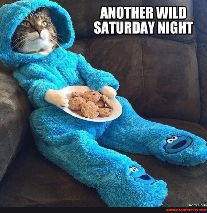 ANOTHER WILD SATURDAY NIGHT - America's best pics and videos
