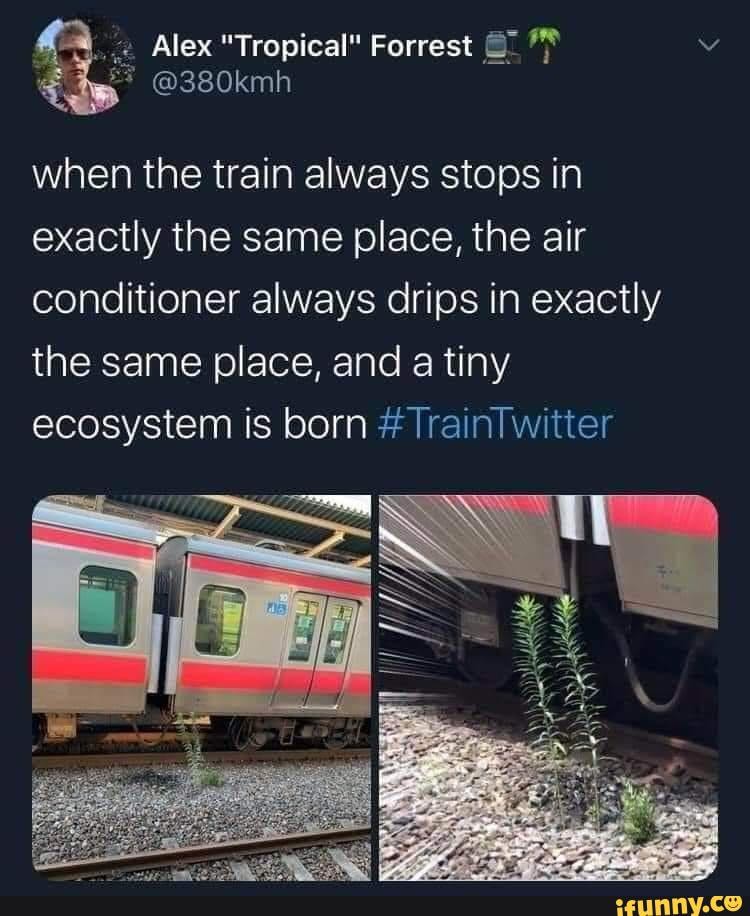 Always train