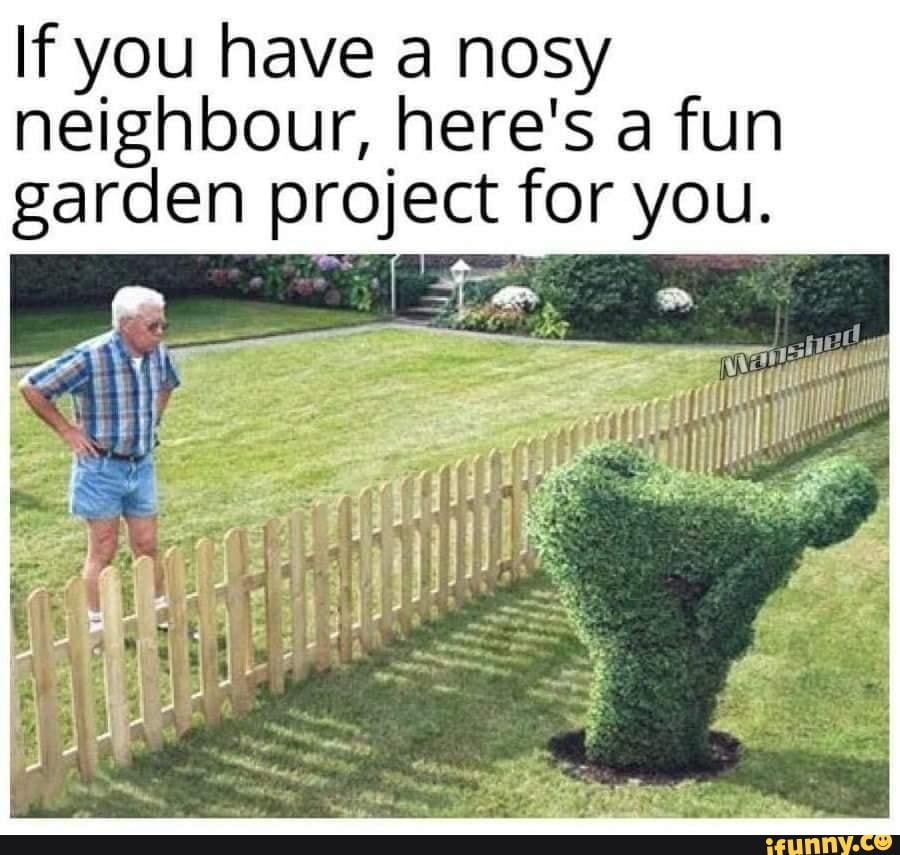 If you have a nosy neighbour, here's a fun garden project for you. - iFunny