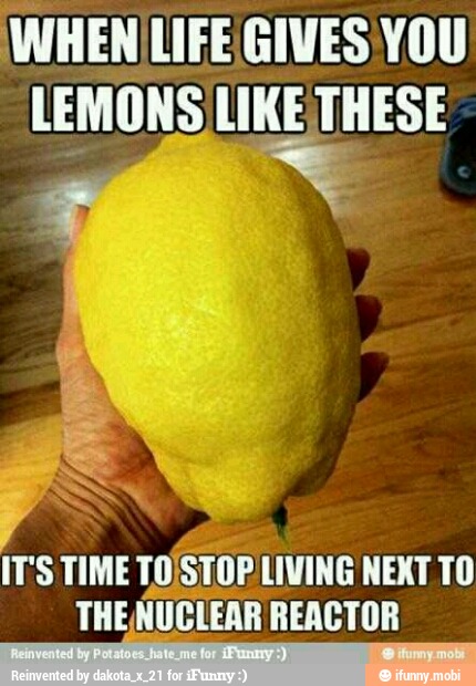 WHEN LIFE GIVES YOU
LEMONS LIKE THESE
THERUE EAR REACTOR