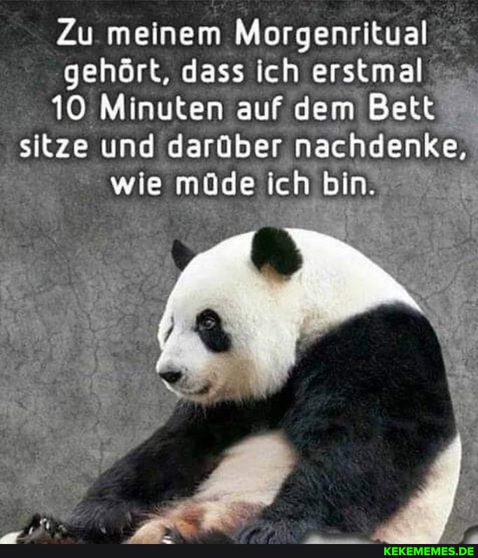 Zu meinem Morgenritual gehört, dass ich erstmal
10 Minuten auf dem Bett sitze und darüber nachdenke, wie müde ich bin.