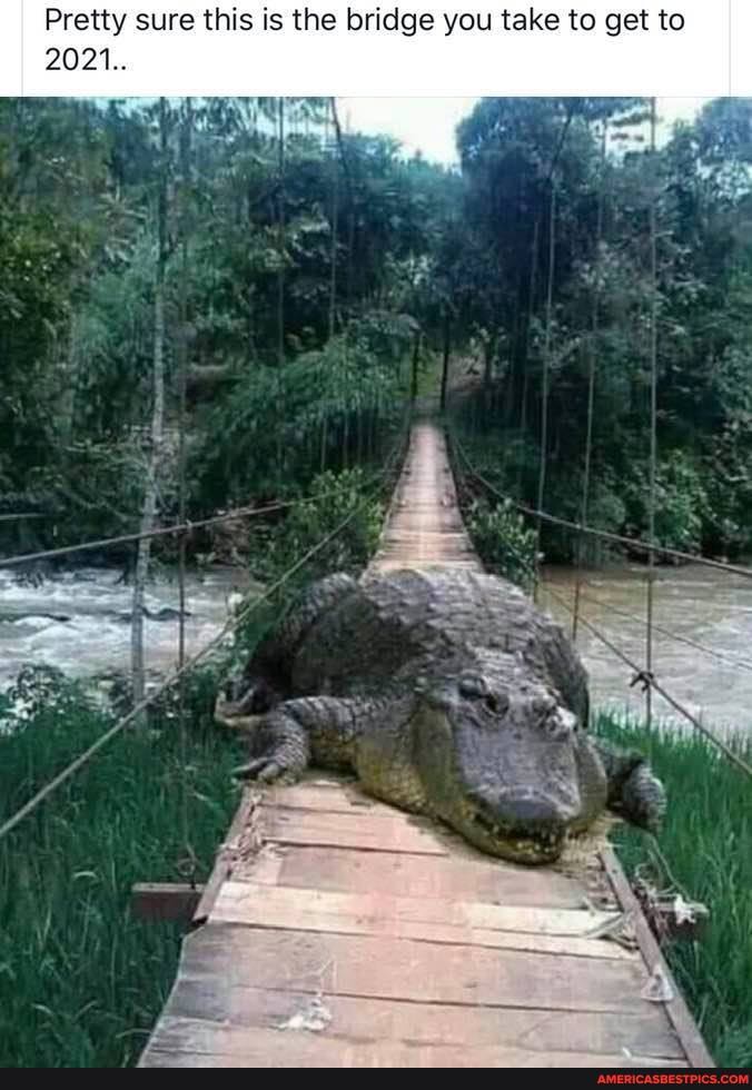 Pretty sure this is the bridge you take to get to
2021...
al