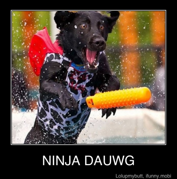 NINJA DAUWG - NINJA DAUWG