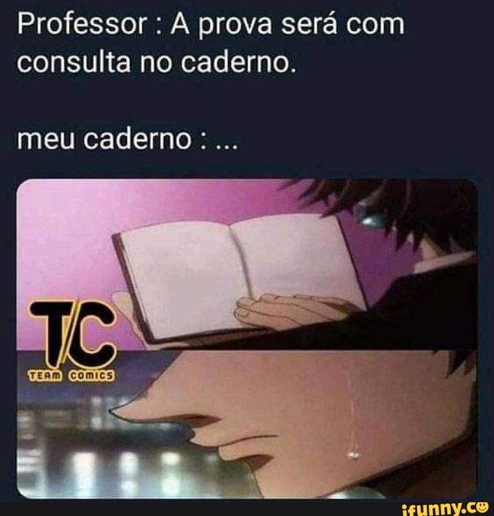Professor : prova será com consulta no caderno.
meu caderno: