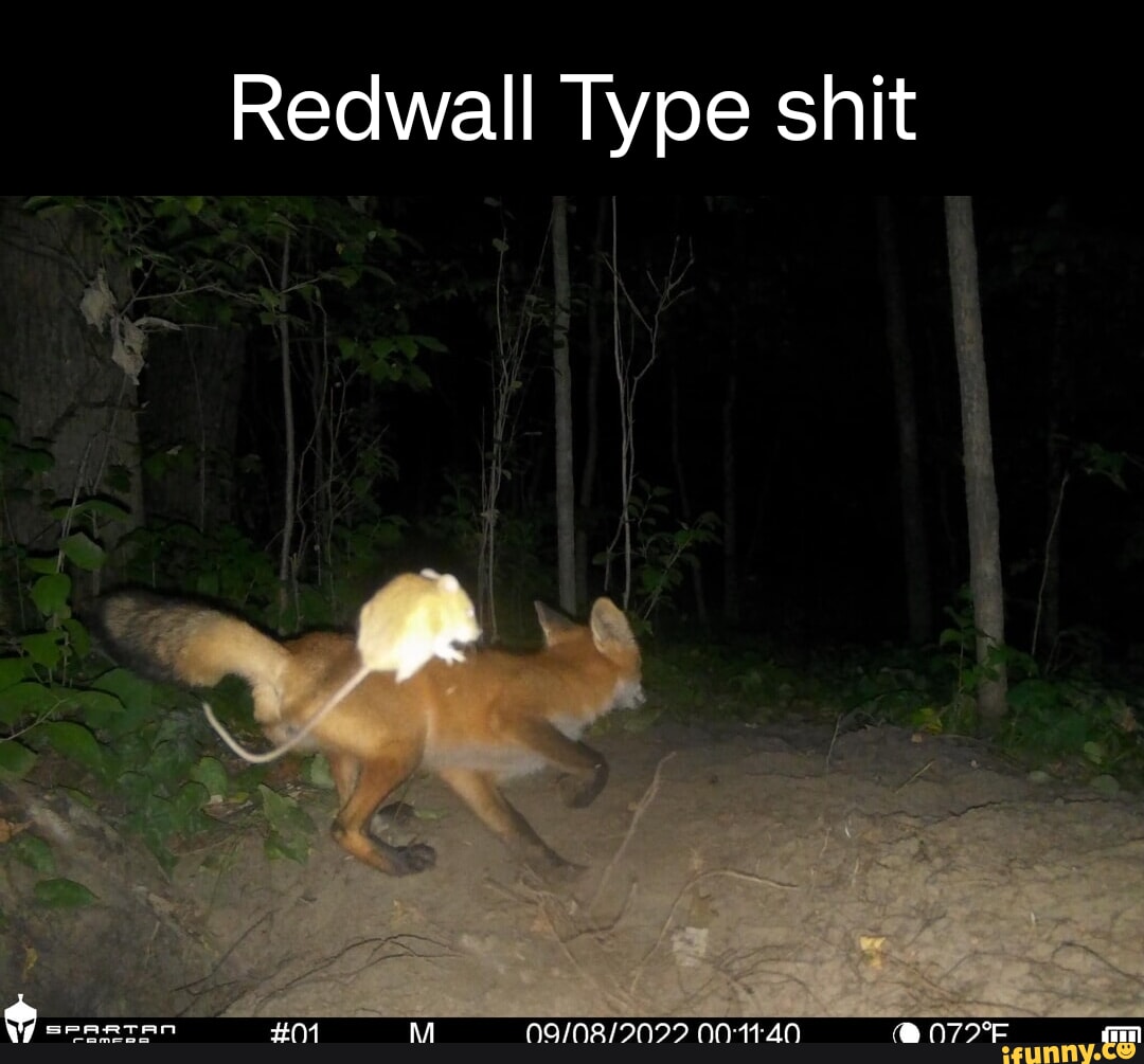 Redwall memes. Best Collection of funny Redwall pictures on iFunny