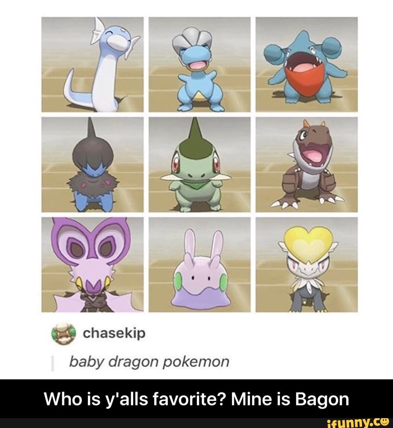 Baby Dragon Pokemon Who Is Y Alls Favorite Mine Is Bagon Who Is Y Alls Favorite Mine Is Bagon