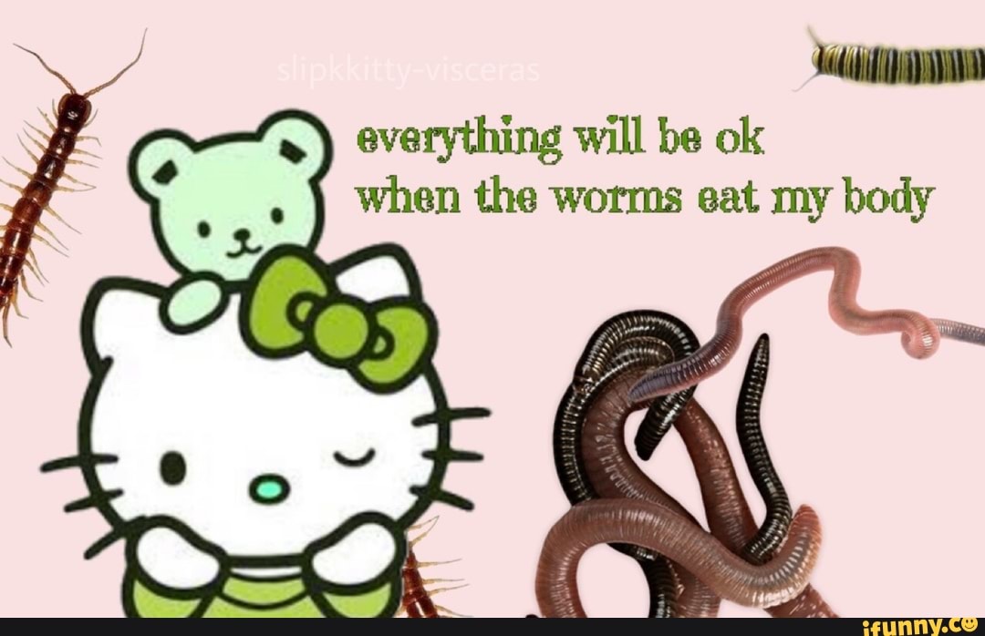 Everything Will be ok when the worms eat my body iFunny