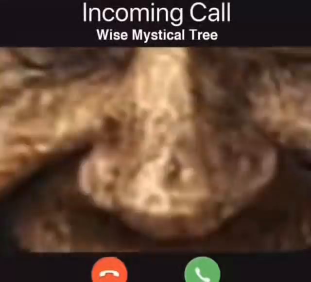 fyp #foryou #meme #phone #call #wisemysticaltree #wisetree